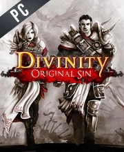 Divinity Original Sin
