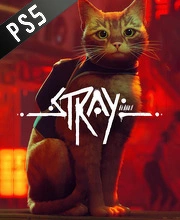 Stray PS5