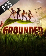 Grounded PS5