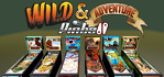 Wild & Adventure Pinball PS4