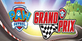 PAW Patrol Grand Prix Nintendo Switch